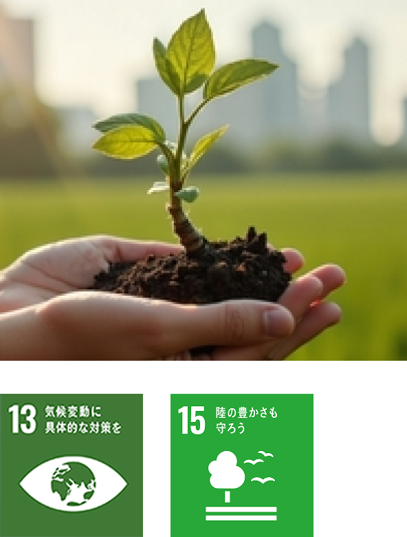 能登金蔵への植樹(毎月)